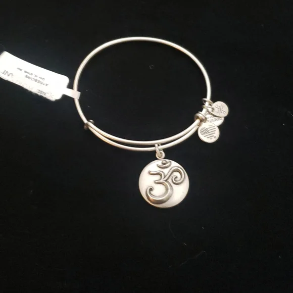 NWT Alex and Ani RS Ohm III 2016 - Picture 2 of 9